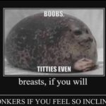 boobs demotivational