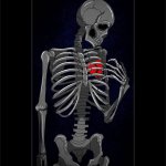 Heartbroken skeleton