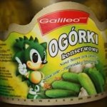 Sonic Pickles template