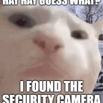 security camera | HAY HAY GUESS WHAT? I FOUND THE SECURITY CAMERA | image tagged in i showed you my | made w/ Imgflip meme maker