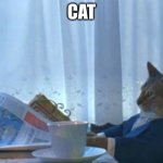 cat | CAT | image tagged in memes,i should buy a boat cat | made w/ Imgflip meme maker