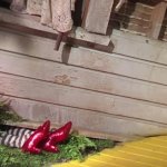 House falls on Wicked Witch