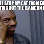 Totaly me | ME WHEN I STOP MY CAT FROM EXPLODING BY PUTTING OUT THE FLAME ON HIS TAIL | image tagged in memes,roll safe think about it | made w/ Imgflip meme maker