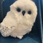 You Said WHAT??? | POV: ME AND THE GUYS WHEN THE QUIET ONE IN THE ROOM SAYS A BAD WORD | image tagged in you did what | made w/ Imgflip meme maker