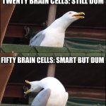 HOW STUPID ARE YOU | TWO BRAIN CELLS: DUM; TWENTY BRAIN CELLS: STILL DUM; FIFTY BRAIN CELLS: SMART BUT DUM; HUNDRED AND FIFTY BRAIN CELLS: THE IBODMENT OF IDIOT | image tagged in memes,inhaling seagull,dumb,idiot | made w/ Imgflip meme maker
