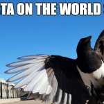 Alberta Magpie | ALBERTA ON THE WORLD STAGE | image tagged in ta-da,magpie,alberta,51,alberta proud | made w/ Imgflip meme maker