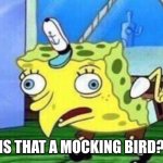 spongebob mockingbird | IS THAT A MOCKING BIRD? | image tagged in spongebob mockingbird | made w/ Imgflip meme maker