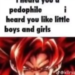 i heard you a pedophile (no n word)
