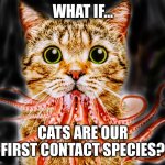 What if...? | WHAT IF... CATS ARE OUR FIRST CONTACT SPECIES? | image tagged in flerken personality,what if,memes,cats,first contact,extraterrestrial | made w/ Imgflip meme maker