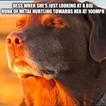 DRIVING IN MY CAR... | DESS WHEN SHE'S JUST LOOKING AT A BIG HUNK OF METAL HURTLING TOWARDS HER AT 100MPH | image tagged in i'm cooked | made w/ Imgflip meme maker