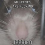 MY HEEBIES ARE FUCKING JEEBIED template