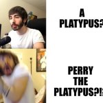 Doofenshmirtz Be Like | A PLATYPUS? PERRY THE PLATYPUS?!? | image tagged in penguinz0,doofenshmirtz | made w/ Imgflip meme maker