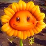 Fried Sunflower