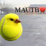 Mods Asleep, Upvote Tennis Bird meme