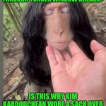 Funny | BUTT SOFT WHAT LIGHT THROUGH YONDER WINDOW BREAKS? IS THIS WHY KIM KARDOUCHEAN WORE A SACK OVER HER HEAD IN THE "FASHION" SHOW? | image tagged in funny,kim kardashian,kim kowdashian,fashion,romeo and juliet,halloween costume | made w/ Imgflip meme maker