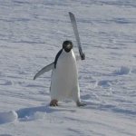Penguin