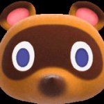 Tom Nook head