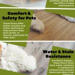 Pet Friendly Flooring