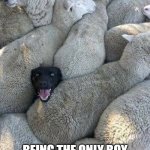 oh no | WHAT IT FEELS LIKE; BEING THE ONLY BOY IN THE MIDDLE OF THE GIRLS | image tagged in fun | made w/ Imgflip meme maker