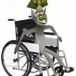 King julien wheelchair