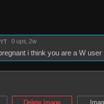 "don't draw me pregnant i think you are a W user" meme