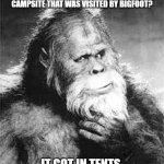 Daily Bad Dad Jokes October 22, 2025 | DID YOU HEAR ABOUT THE CAMPSITE THAT WAS VISITED BY BIGFOOT? IT GOT IN TENTS. | image tagged in bigfoot | made w/ Imgflip meme maker