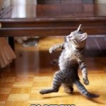 Cool Cat Stroll Meme | ME OMW; TO PET THE STRAY KITTEN | image tagged in memes,cool cat stroll,cats,cute,lol,relatable | made w/ Imgflip meme maker