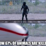 Hit by train | HOW 67% OF ANIMALS ARE KILLED | image tagged in hit by train | made w/ Imgflip meme maker