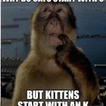 strange world we live in | WHY DO CATS START WITH C; BUT KITTENS START WITH AN K | image tagged in thinking monkey | made w/ Imgflip meme maker