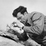 Geologist Looking at Rock