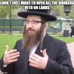 Jewish Dude | LOOK, I JUST WANT TO OPEN ALL THE BORDERS
VETO ON LANDS | image tagged in jewish dude | made w/ Imgflip meme maker