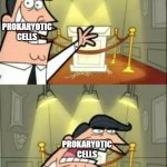 Prokaryotic cells, like archea and bacteria, do not have a nucleus | This is where I'd put my nucleus; PROKARYOTIC CELLS; PROKARYOTIC CELLS; IF I HAD ONE | image tagged in memes,this is where i'd put my trophy if i had one | made w/ Imgflip meme maker