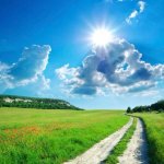 Green sunny day