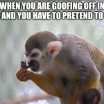 Greedy Monkey | WHEN YOU ARE GOOFING OFF IN CLASS AND YOU HAVE TO PRETEND TO WORK | image tagged in greedy monkey | made w/ Imgflip meme maker
