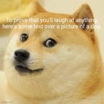 Thatz how meme works! | To prove that you'll laugh at anything, here's some text over a picture of a dog. | image tagged in wow doge,memez | made w/ Imgflip meme maker