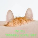 MR PIG - WINNING SOMETHING
