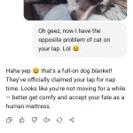 chatGPT dog law