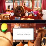 The Pets watching a blank on TV meme