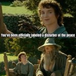disturber of the peace