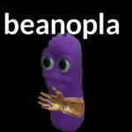 beanopla template