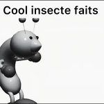 Cool insecte fait