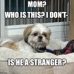 Scared Dog | WHO IS THIS? I DON’T-; MOM? IS HE A STRANGER? | image tagged in scared dog | made w/ Imgflip meme maker