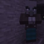 Vindicator meme