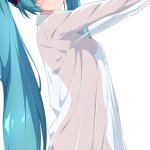 Miku WTF meme