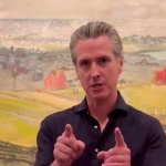 Nutcase Gavin Newsom