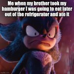 My Big backed brother took my dag gum Burger | Me when my brother took my hamburger I was going to eat later out of the refrigerator and ate it | image tagged in shadow the hedgehog | made w/ Imgflip meme maker