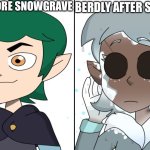 Traumatized edric blight | BERDLY BEFORE SNOWGRAVE; BERDLY AFTER SNOWGRAVE | image tagged in traumatized edric blight | made w/ Imgflip meme maker