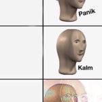 Panik kalm succ template