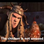 The chicken is not amused