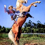 You've been Triggered